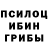 Галлюциногенные грибы мухоморы Valerik Khomych