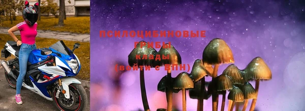 ГАЛЛЮЦИНОГЕННЫЕ ГРИБЫ Алексеевка