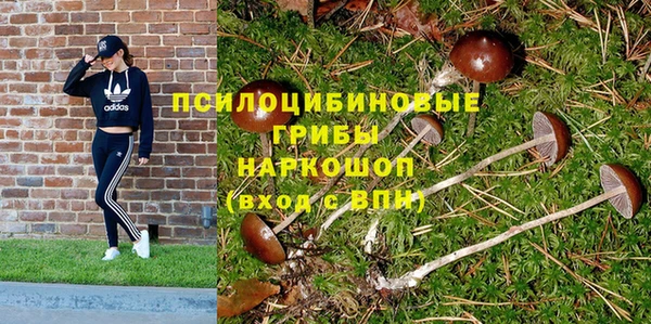 твердый Алзамай